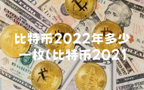 比特币2022年多少一枚（比特币2021年估计多少钱一个比）