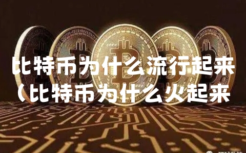 比特币为什么流行起来（比特币为什么火起来）