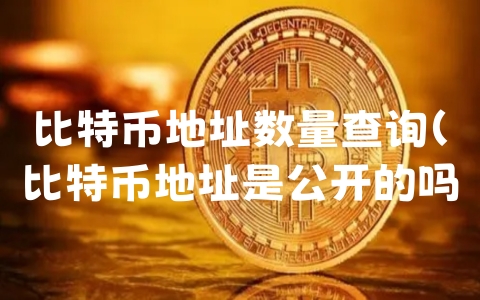 比特币地址数量查询（比特币地址是公开的吗）