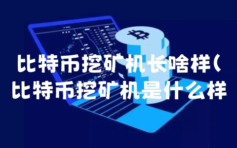 比特币挖矿机长啥样（比特币挖矿机是什么样子的）