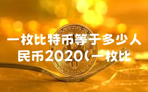 一枚比特币等于多少人民币2020（一枚比特币等于多少人民币2008）