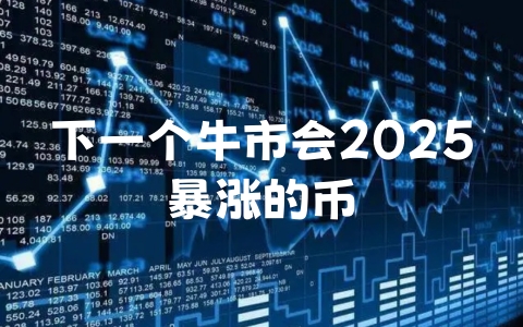 下一个牛市会2025暴涨的币