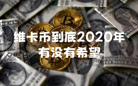 维卡币到底2020年有没有希望