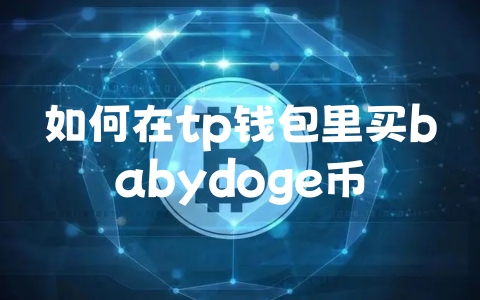 如何在tp钱包里买babydoge币