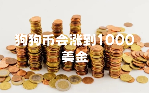 狗狗币会涨到1000美金