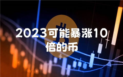 2023可能暴涨10倍的币