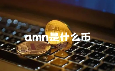 amn是什么币