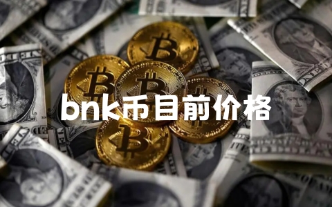 bnk币目前价格