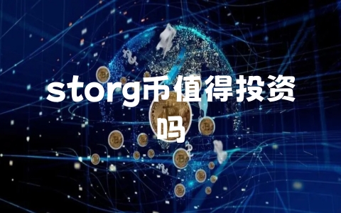 storg币值得投资吗