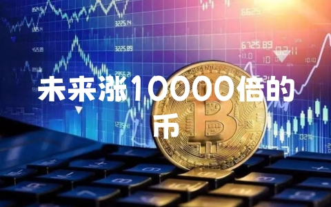 未来涨10000倍的币