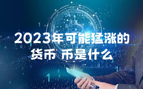 2023年可能猛涨的货币 币是什么