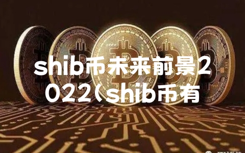 shib币未来前景2022（shib币有未来吗）