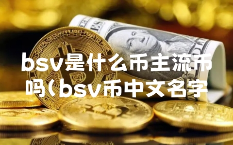 bsv是什么币主流币吗（bsv币中文名字是什么币）